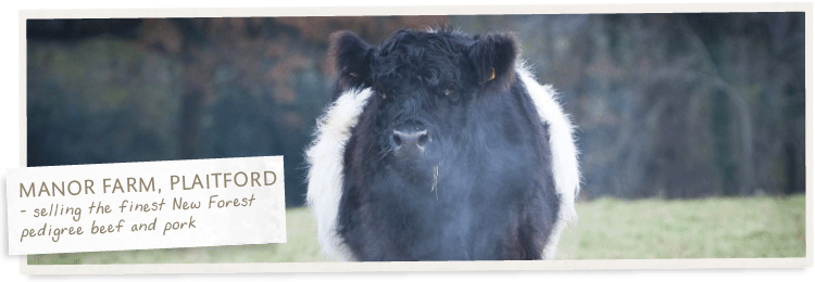 Welcome to the Manor Farm, Plaitford Website